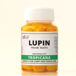 Люпин со вкусоп Тропических фруктов, Lupine בטעם פירות טרופיים