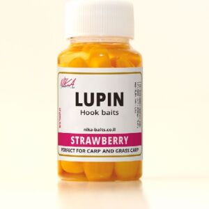 Люпин со вкусоп Клубники, Lupine בטעם תות
